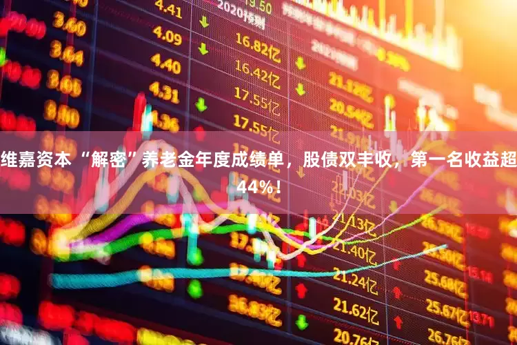 维嘉资本 “解密”养老金年度成绩单，股债双丰收，第一名收益超44%！