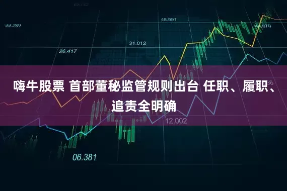 嗨牛股票 首部董秘监管规则出台 任职、履职、追责全明确