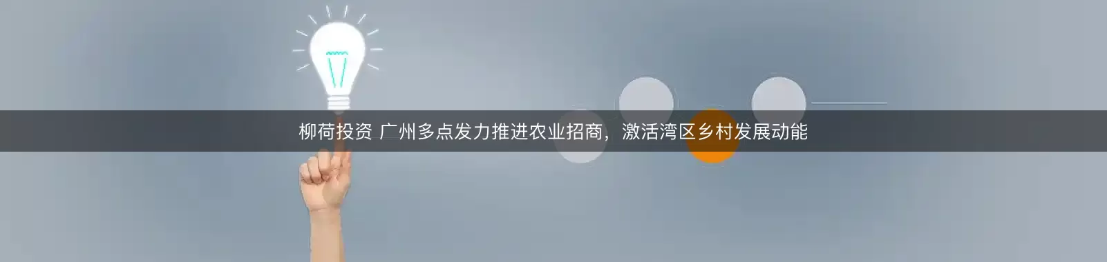 柳荷投资 广州多点发力推进农业招商，激活湾区乡村发展动能